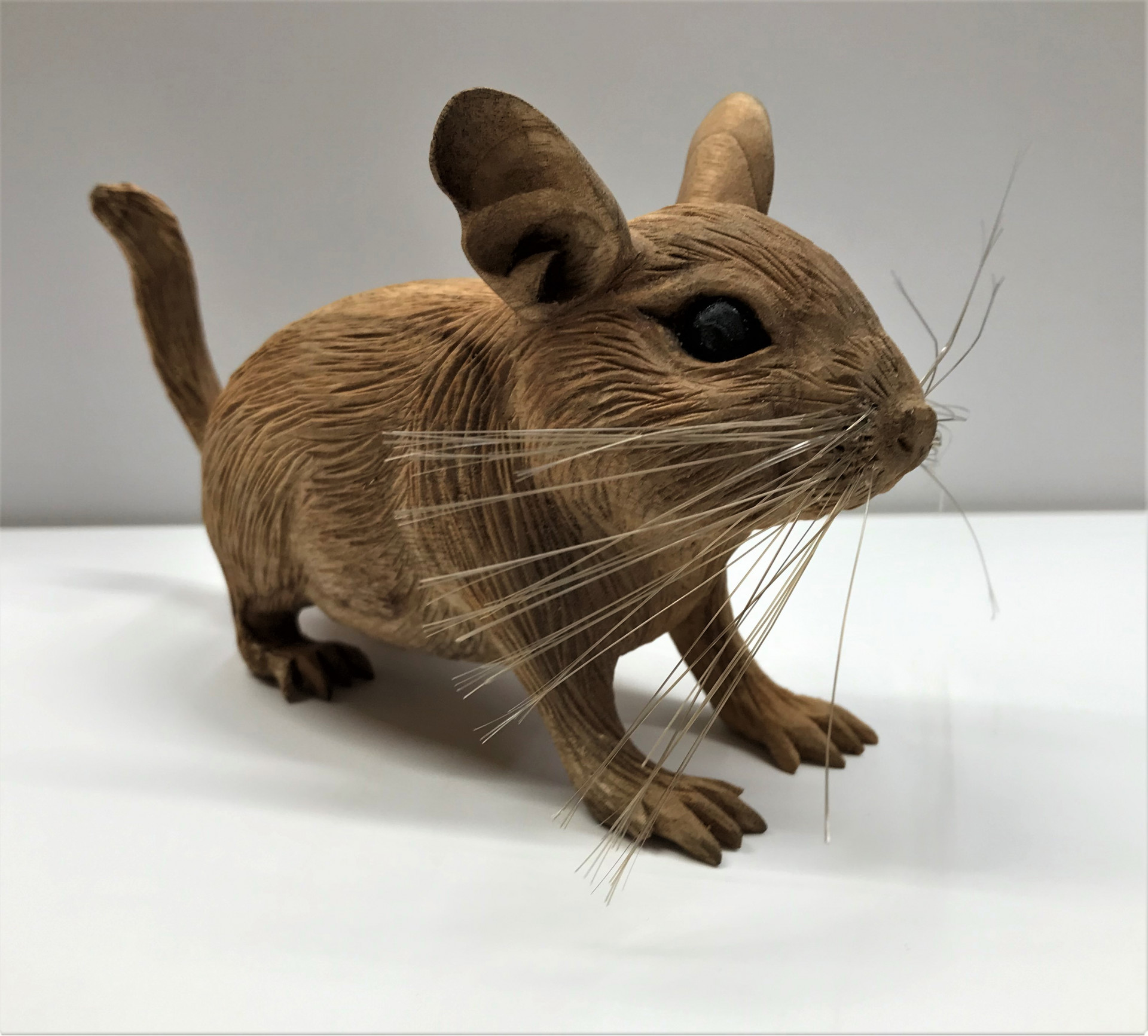 飼っていたペット（デグー）と言う動物が無くなったので残しておくために木彫りで作って欲しいと言う依頼で製作しました。